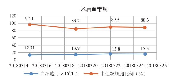 图4 患者血常规情况